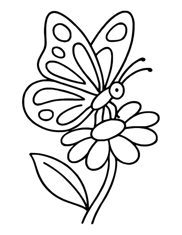 Butterfly with patterned wings landing on a daisy with a big leaf on the stem