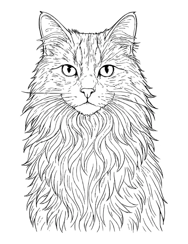 A realistic front-facing portrait of a long-haired cat with tabby markings on the forehead and a thick flowing chest ruff.