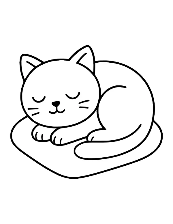 Round cat curled up asleep on a square cushion, eyes closed and tail wrapped around