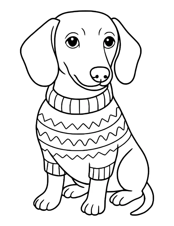 Dachshund sitting and facing forward in a turtleneck sweater with zigzag stripes