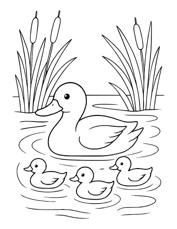 Duck swimming in a pond with three ducklings in front, tall cattails and reeds behind