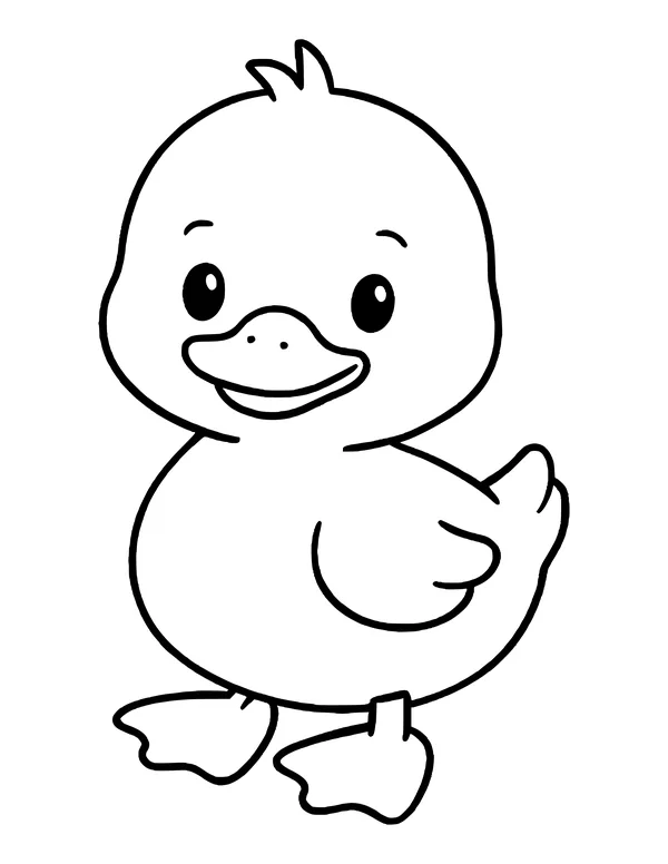 Cute baby duckling facing forward with a wide smiling beak, little wing and webbed feet