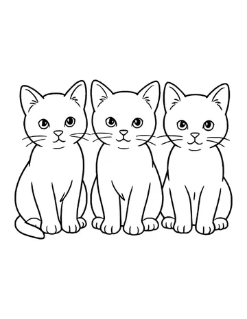 Three matching kittens sitting side by side, each looking forward with round eyes.
