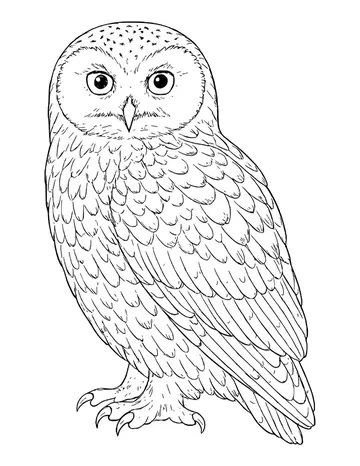 Realistic snowy owl standing on feathered feet, covered in layered scalloped feathers