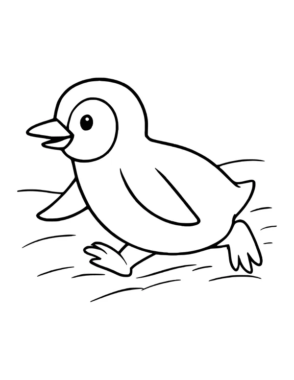 A penguin sliding forward on its belly across snow, with its flippers out and feet behind.