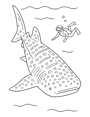 Spotted whale shark seen from above swimming down the page while a snorkel diver reaches toward it.