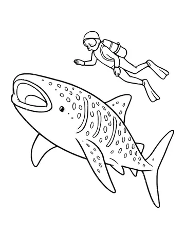 Whale shark with a wide open mouth and spotted back swimming beside a scuba diver with an air tank and fins.