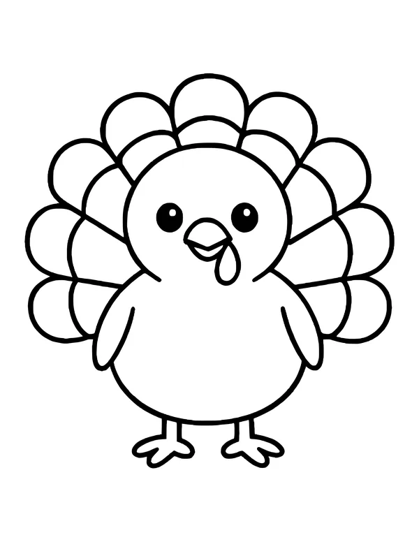 Round baby turkey with big eyes, a little wattle and a fan of scalloped tail feathers behind it.