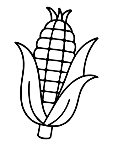 Single ear of corn with neat rows of kernels, peeled-back leafy husks and a short stalk.