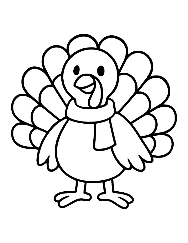Round turkey with a plain scarf around its neck and a fan of rounded tail feathers.
