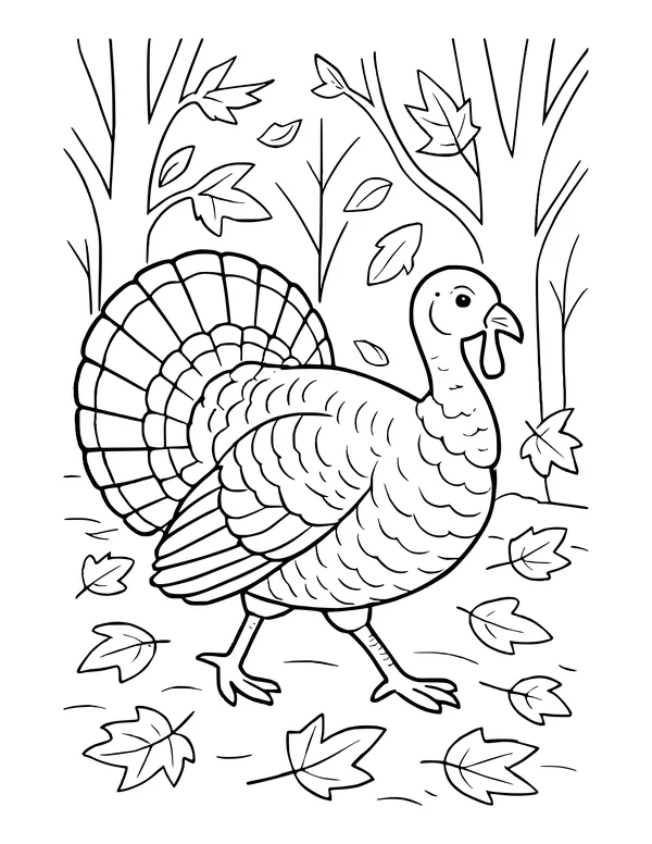 Wild turkey walking through a forest with bare trees and fall leaves on the ground.