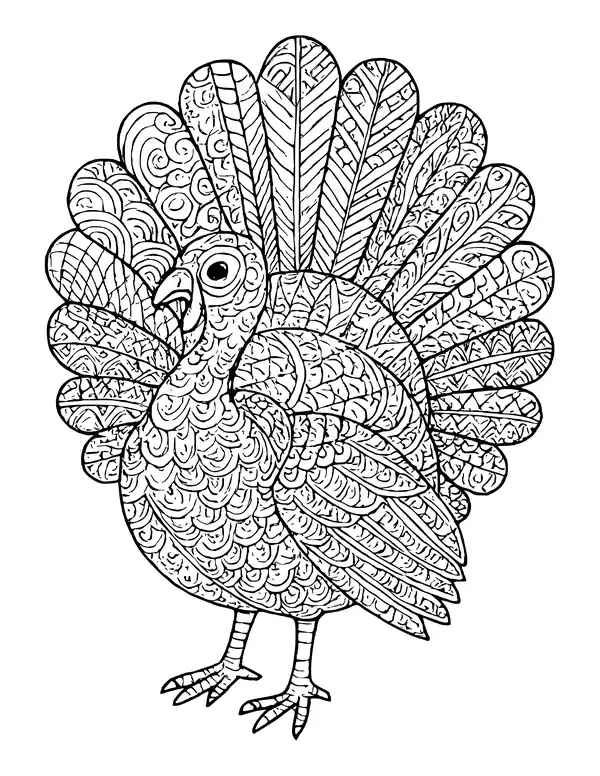 Turkey covered in zentangle patterns, with a different pattern on each long tail feather.