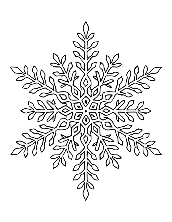 Large six-armed snowflake with fine feathery branches and a star-shaped center